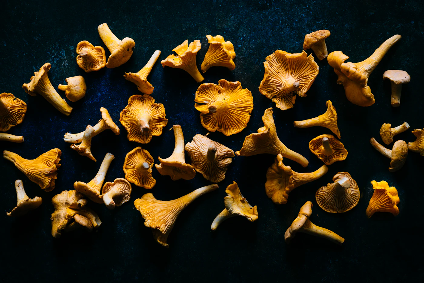 The World's Finest Rare Ingredients